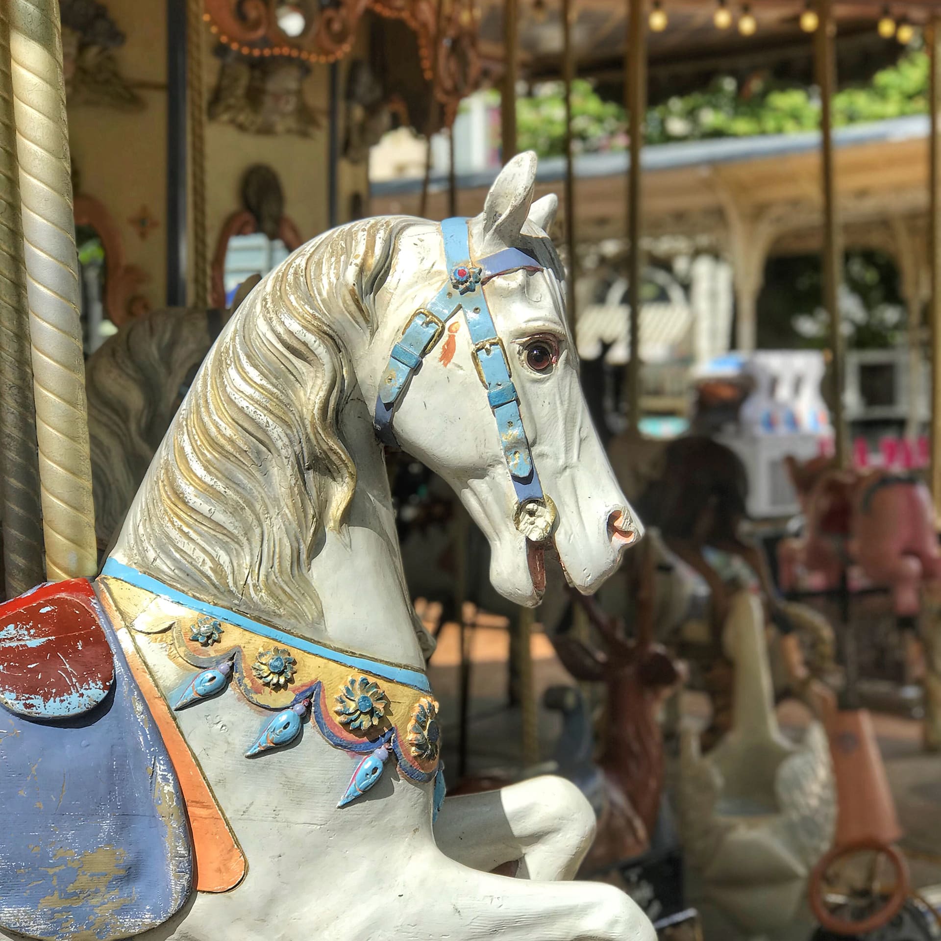 Carousel